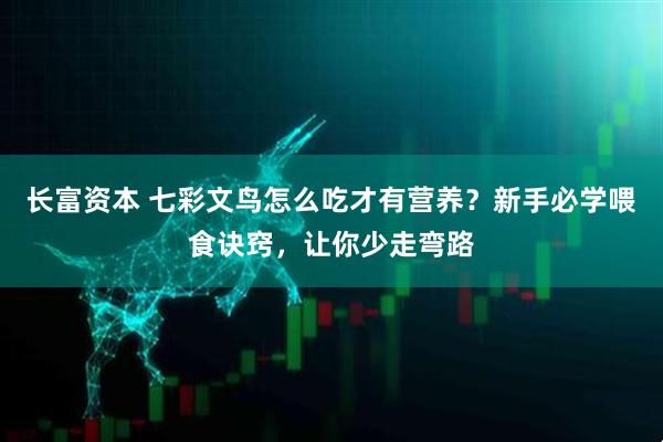 长富资本 七彩文鸟怎么吃才有营养？新手必学喂食诀窍，让你少走弯路